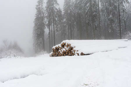 snow covered pile of woodの写真素材