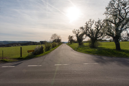 Asphalt road in countryside landscape with trees and sun in background.の写真素材
