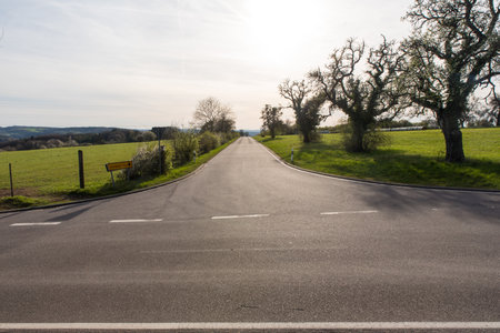 Asphalt road in the countryside in springtime with trees and grassの写真素材