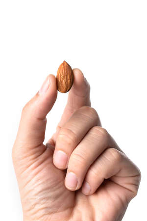 Almond in hand isolated on white background. Almond nutsの写真素材