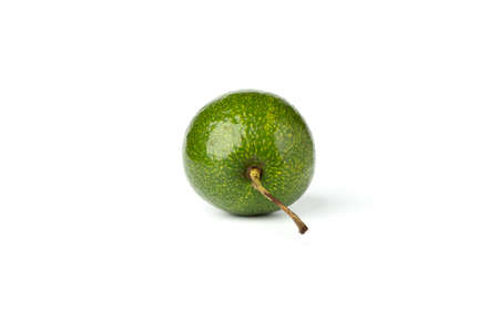 Avocado isolated on white backgroundの写真素材