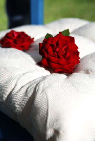 Two red roses placed on the pillowの写真素材