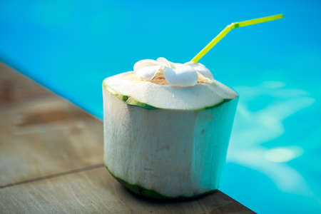 Coconut near the swimming pool