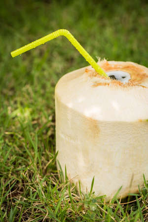 Coconut with a straw on the grass