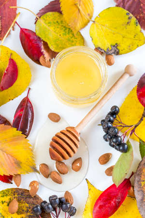 Honey with nuts in autumn leavesの写真素材