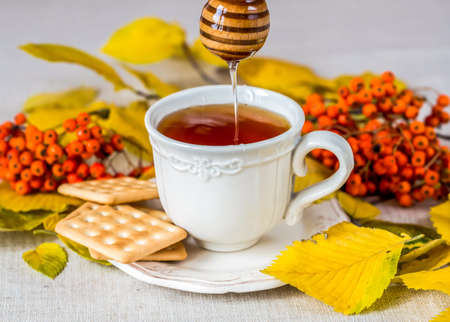 Tea with honey and autumn leafs