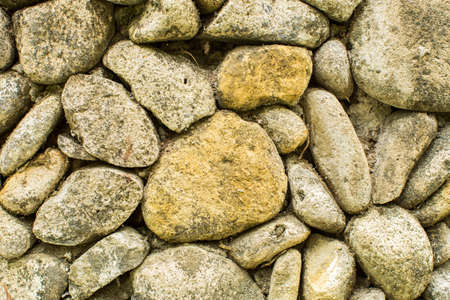 Stone wall with greenery. Textureの写真素材