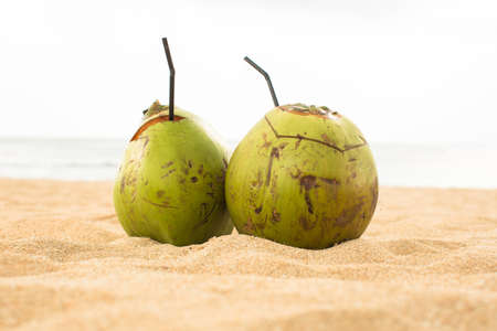 Two fresh coco  drinking coconuts on the tropical beachの写真素材