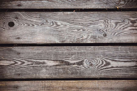 Texture of bark wood use as natural backgroundの写真素材