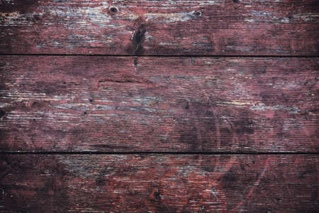 Texture of bark wood use as natural background