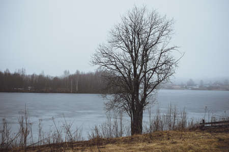 Cold Melancholic Spring Landscape with Lake.の写真素材