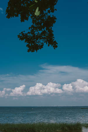 Beautiful view of the beach on the Finnish gulf, Saint-Petersburg, Russia.の写真素材