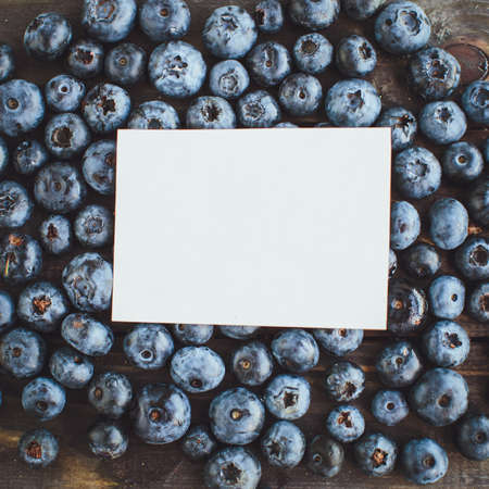 Blank sheet on blueberries background