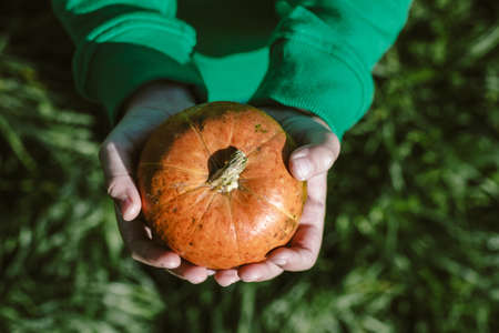 Pumpkin in the hands of 5 year-old boy in a green sweater