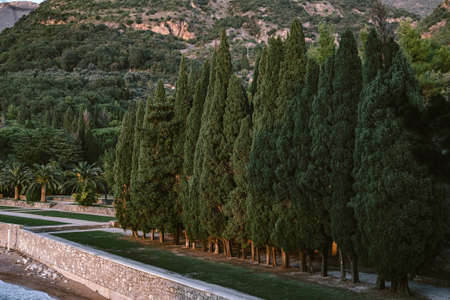 the park next to the islandの写真素材