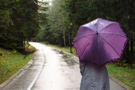 Young woman with a purple umbrella walks in autumn parkの写真素材