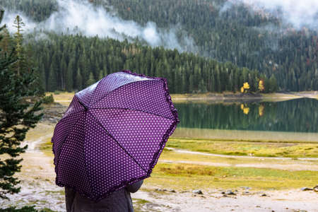 Young woman with a purple umbrella walks in autumn parkの写真素材