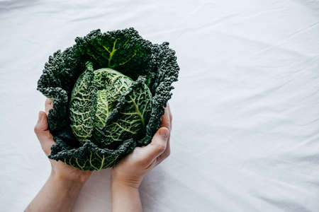 Fresh Green Kale most useful vegetables in woman hands on white background