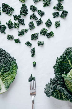 Fresh Green Kale most useful vegetables on white background. Healthy conceptの写真素材