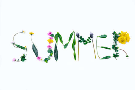 Word "Summer" made of wild flowers on white background. Spring concept. Flat lay, top viewの写真素材