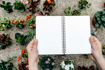 Woman hands with opened notebook on flower background, Top viewの写真素材