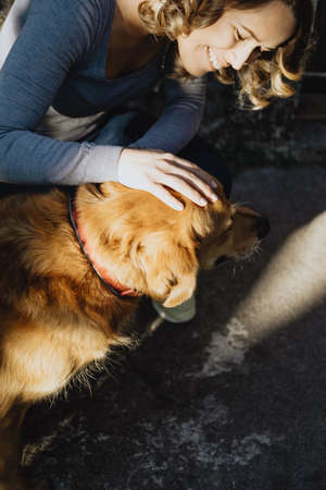 Young beautiful woman stroking a dog and smilingの写真素材