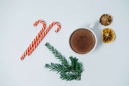 Mug of cacao, candy canes and fir tree on white background. Top viewの写真素材