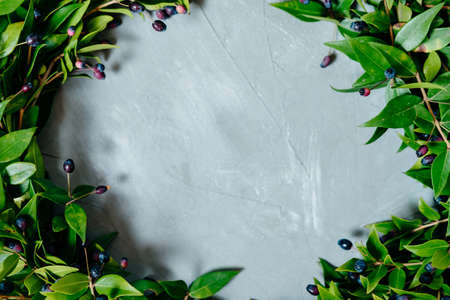 Christmas wreath with berries on concrete background. Top viewの写真素材