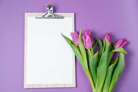 White empty blank, purple tulips and a cup of coffee on a violet background. Top view, flat layの写真素材