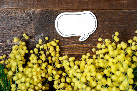 Blank for message and Bouquet of mimosa flowers on wooden background. International Women Day. Top view, flat layの写真素材