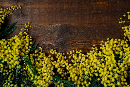 Bouquet of mimosa flowers on wooden background. International Women Day. Top view, flat layの写真素材