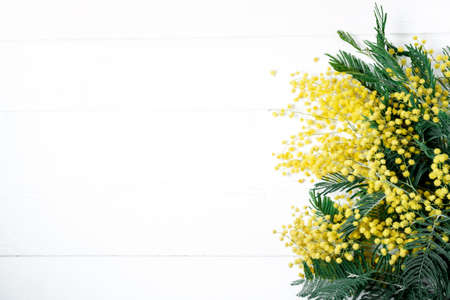 Bouquet of mimosa flowers on white background. International Women Day. Top view, flat layの写真素材
