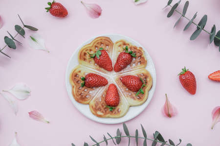 Homemade Belgian waffles with strawberries and herbal tea on a pink background. Top viewの写真素材