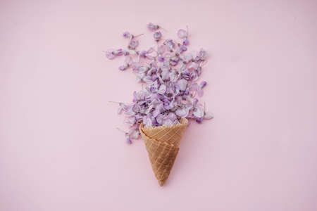 Waffle cone with wisteria flower on pink background. Flat lay, top view floral background.の写真素材