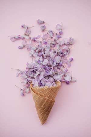 Waffle cone with wisteria flower on pink background. Flat lay, top view floral background.の写真素材