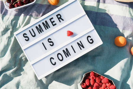 Top view of Summer composition with Letter Board Quote, hat, berries and sunglasses on a pebbles beach near seaの写真素材