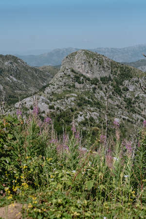 Mountains in Montenegro in the summer time on a sunny day