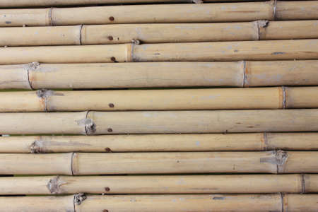 old wooden background with vertical boards の写真素材