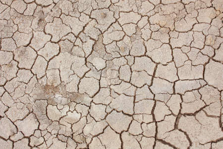 Dry soil texture 
