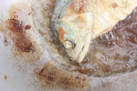 Fish fry  の写真素材