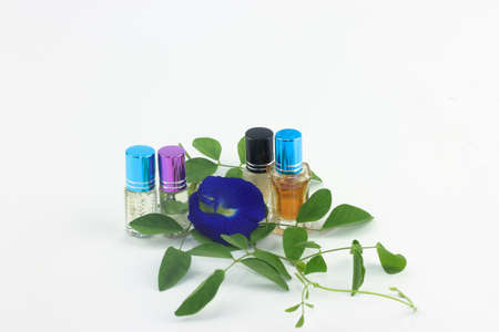 Bottles of perfume and blue flower isolated on white