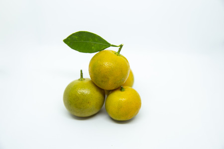 orange on white backgroundの写真素材
