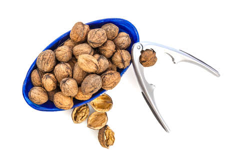 Isolated composition of healthy nuts, a nutcracker and a blue cupの写真素材