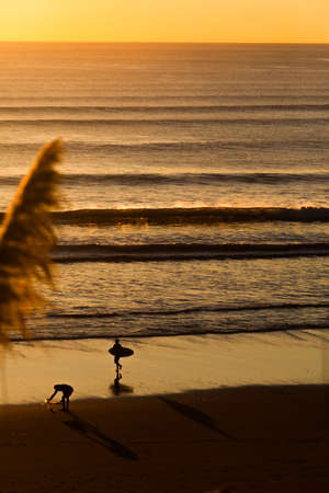 Couple of surfers stretching and preparing to go for a surf at sunset.の写真素材