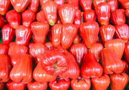 Fresh red rose apple fruit in the marketの写真素材