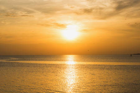 The view of the sea light evening with the birds.の写真素材