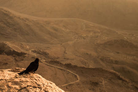 View from Mount Sinai. Egypt.の写真素材