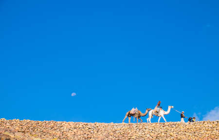 Camel guide climbs up to Mount Sinaiの写真素材