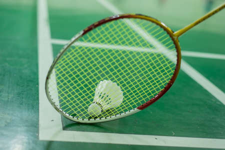 badminton - badminton courts with players competing