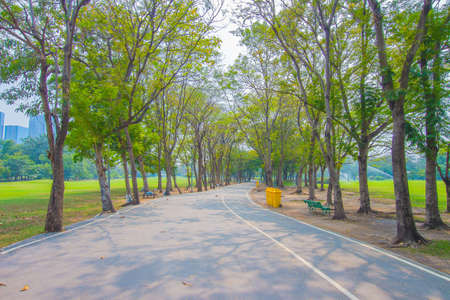 Green city park , walkway for exercise Royalty Free Stock Photoの写真素材
